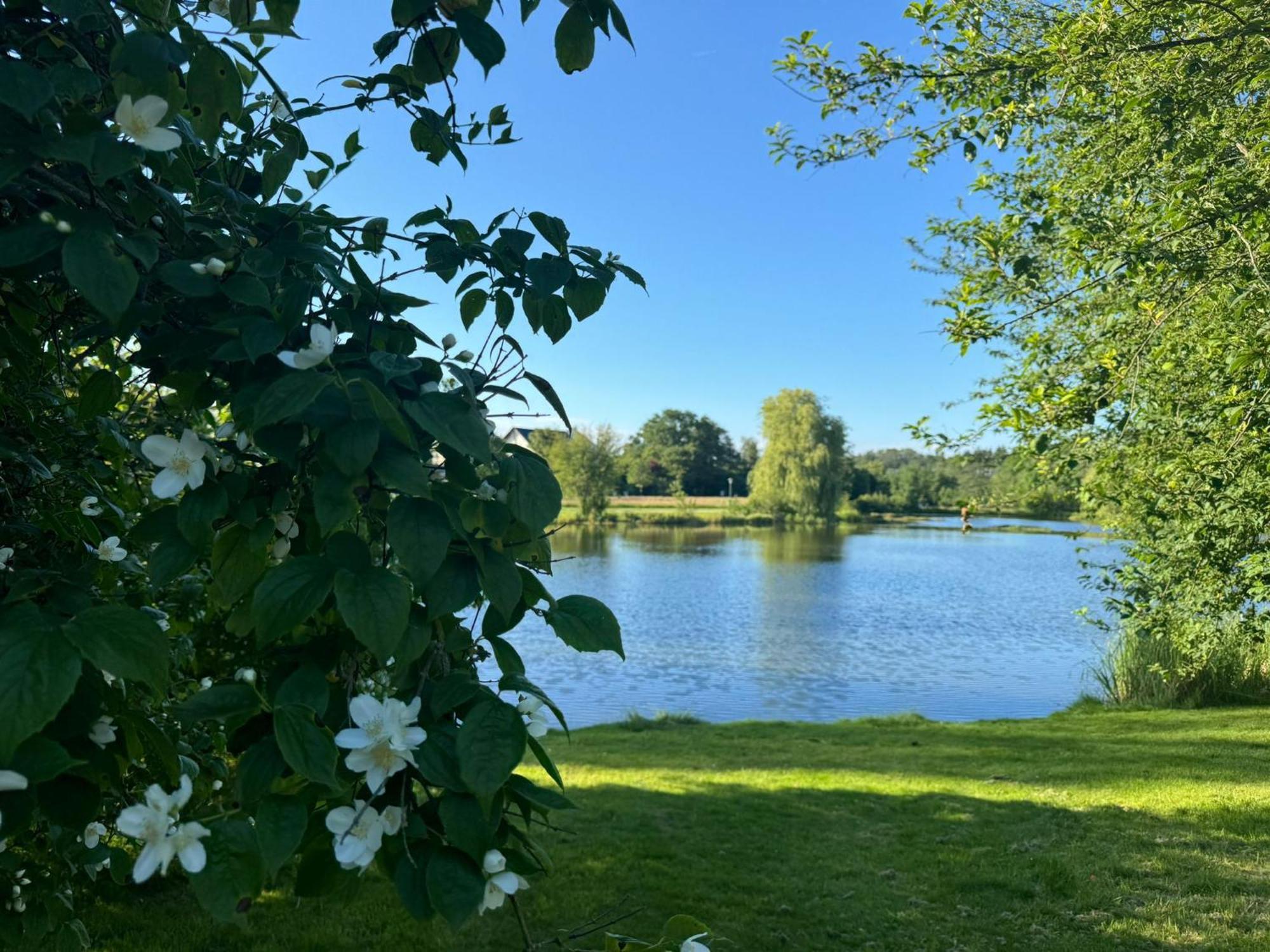 Schloss Hotel Kastellaun Eksteriør bilde